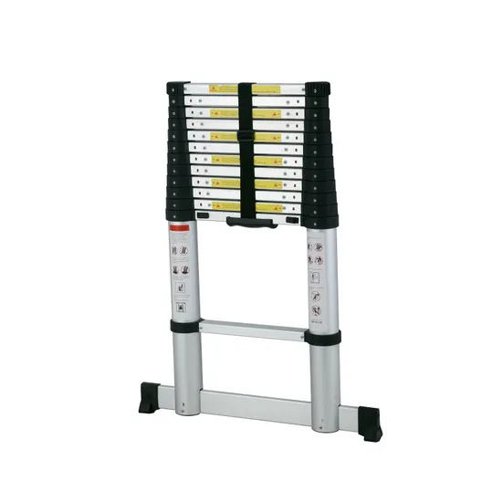 China Supplier One Click Extension Ladder with Soft Slowing Close En131